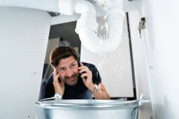 Best Sprinkler Systems  in Lambertville, MI