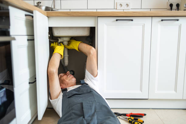 Best Plumbing Repair Near Me  in Lambertville, MI