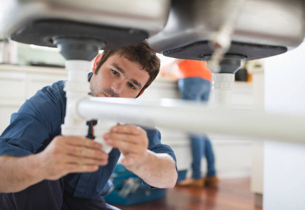 Best Residential Plumbing Services  in Lambertville, MI