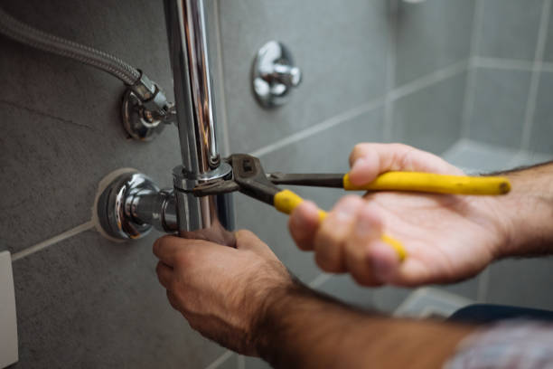 Best Faucet Repair  in Lambertville, MI
