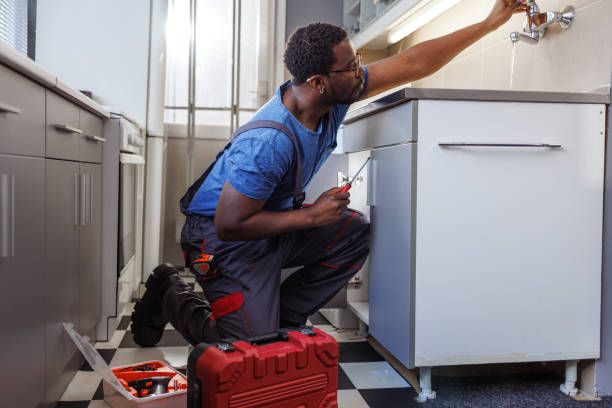 Best Best Plumbers Near Me  in Lambertville, MI
