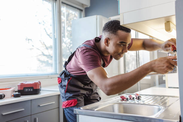 Best Leak Detection Services  in Lambertville, MI