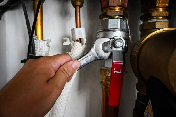 Best Sewer Cleaning Services  in Lambertville, MI
